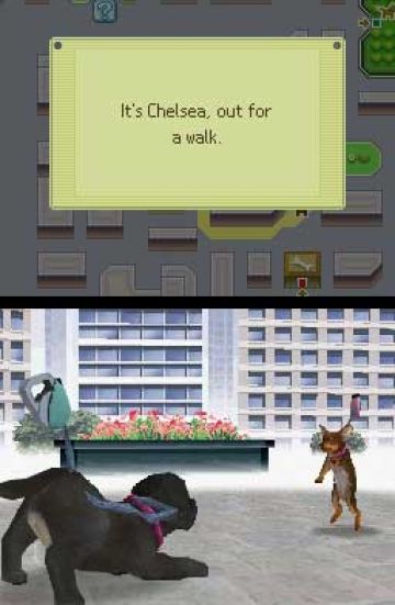 Immagine -2 del gioco Nintendogs: Dachshund and Friends per Nintendo DS